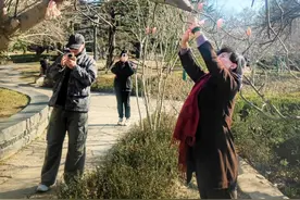 玉兰初开，惊艳游人图片