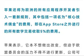 苹果修改收费系统图片