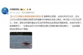 美媒：125只海豚在美国海滩集体搁浅 至少10只已经死亡图片