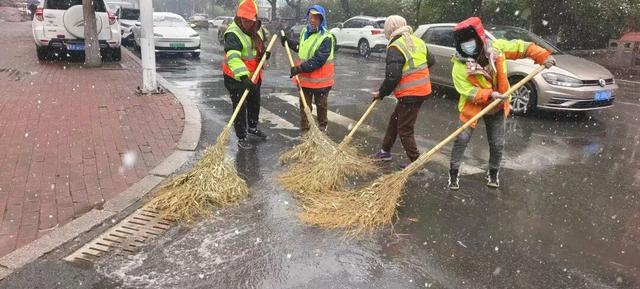 “白雪滤镜”加持，哈尔滨美成童话！熊猫撒欢、雪映枫叶，一起看雪趣大片——