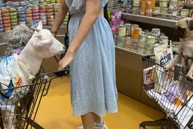 当宠物店“山姆”化图片