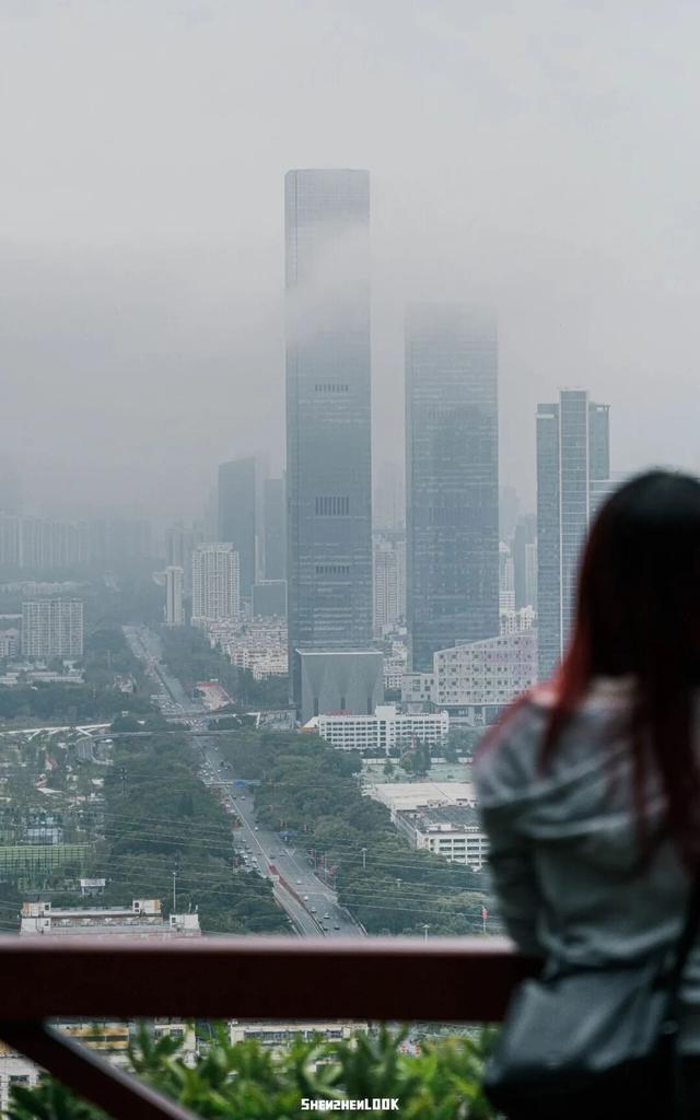“看牛看海看夜景，深圳骑行路线精选”