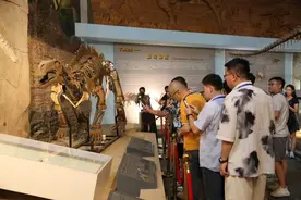 #何以中国寻根辽宁#丨朝阳鸟化石国家地质公园：在“古生物的摇篮”探索史前世界图片