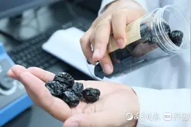 悦读大学｜乐陵小枣的“黑化”之路图片