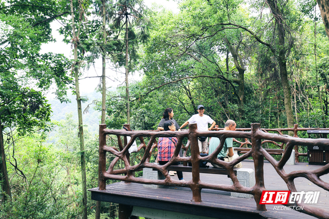 蒸湘“五计”绘蓝图·景区篇：抛砖引玉 让游赏体验更佳