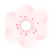 花样秦淮｜绣球花开