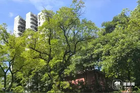 学校附近的出租房迎来换租潮：流转的高中陪读房，流转的故事和青春图片