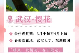 叮咚！2025春日赏花时间表请查收图片