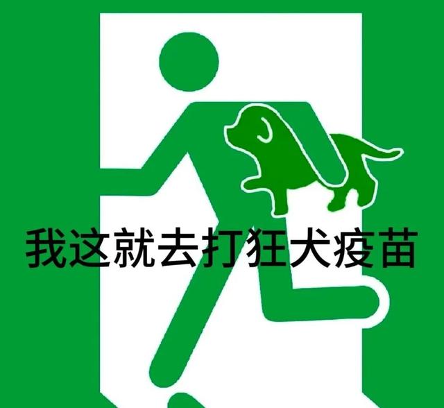 什么？狂犬病的头号元凶不是狗？最要警惕的动物竟然是它→