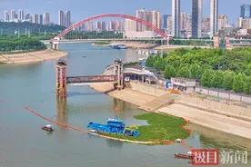 武汉江面布下口袋阵，两日清捞“水葫芦”240余吨图片