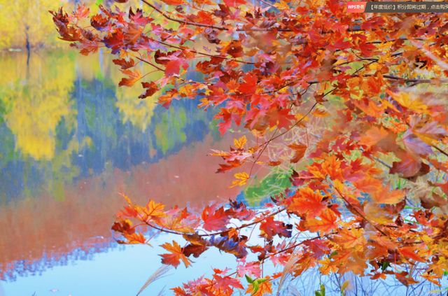 小红书上都在问地址？威海这个红枫湖美成画