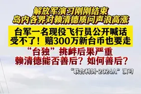 台飞行员喊话：“宁赔300万也要走！”图片