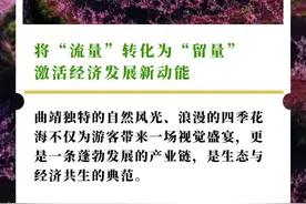 海报图解｜曲靖擦亮“世界最大的自然天成花园”名片点燃经济发展新引擎（四）将“流量”转化为“留量”图片