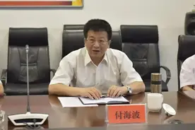 退休10天后，付海波官宣被查图片