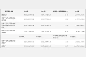 金山办公去年净利增25%：WPS软件业务收入下滑近9%，AI月活用户近两千万图片