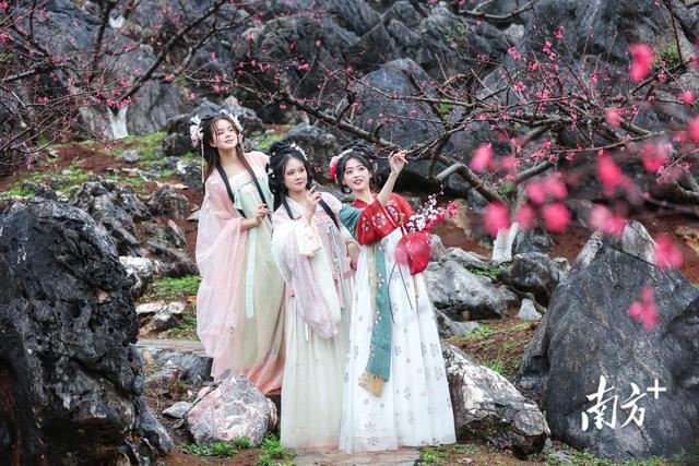 一站式玩转春天！连州赏花季开幕