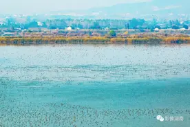 秋意浓浓！晨雾下的洞庭湖畔美成一幅油画图片
