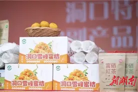 梦萦雪峰只为桔图片