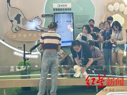 6G�����ƺ�����������������ʮ��ڿƼ�����2023��̲���