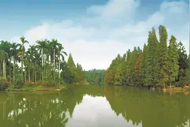 读懂广州·粤韵丨于广州世外桃源 看世界植物奇珍图片