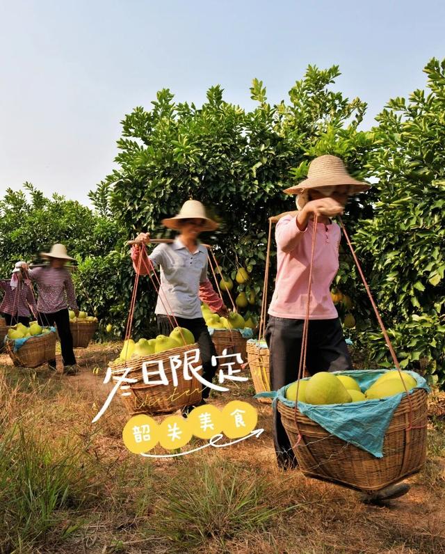 提到家乡韶关，张颂文就是那么“傲娇”！