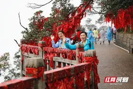 2024年莽山旅游景区“寻梦杜鹃花 全程无障碍”活动月启动图片
