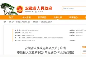 安徽省政府办公厅最新通知！图片