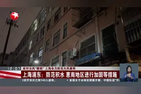 应对台风“康妮”上海全力防范大风暴雨 上海浦东：防范积水 惠南地区进行加固等措施视频封面