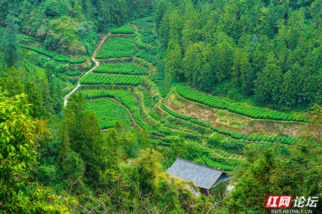 岁暖时刻｜白云深处有人家：藏在湘西山巅的原始苗寨