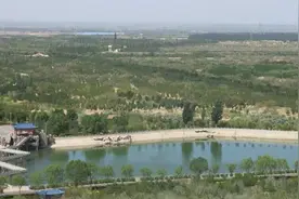 宁夏8家林木种苗单位获评全国优秀信息采集点图片