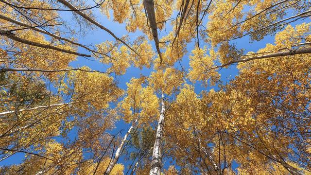 跟着电影去秋游｜这份精选秋日电影旅行地指南，请查收！