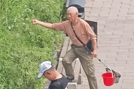 蝴蝶为啥追着纸片飞？你以为它傻，其实它心动了！图片