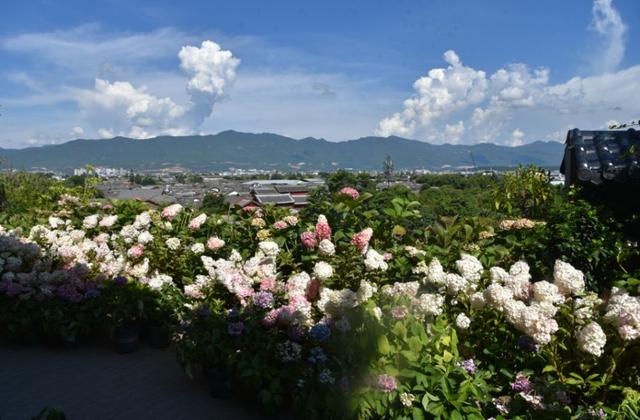 “子玉掌柜”在丽江的慢生活