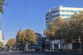 暴降10℃！要下雨了！刚刚确认：杭州马上大反转，春节天气将……图片