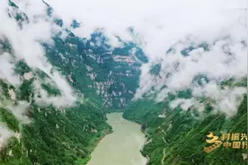 乡村振兴中国行丨药材变“药财”！一株小药草开出致富“千金方”图片