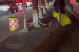 骑自行车赶春晚？知名女歌手：那天路上特别堵图片