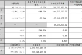 决战Q4 ｜ 大庸古城成拖累，张家界前三季度净亏损6472.51万元，公开招募重整投资人图片