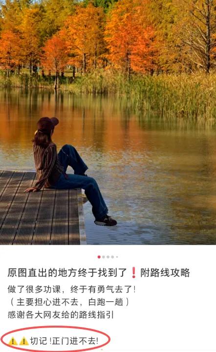 上海有个超美的新公园,未开先火!有人偷偷爬进去、溜进去、翻进去……太危险!