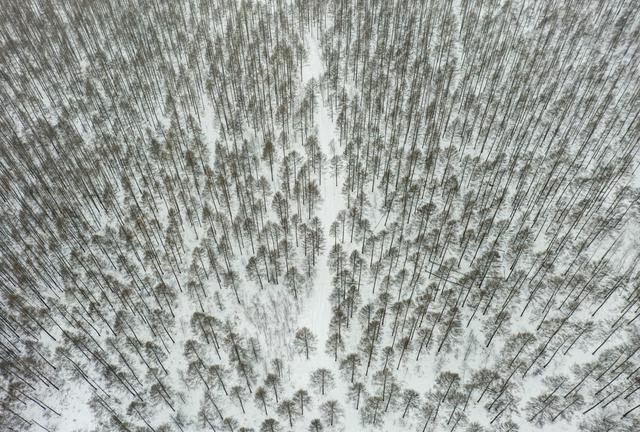 心动吗？这些冬日美景错过了就要再等一年！