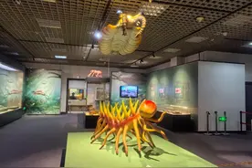 穿越5.18亿年，在北京见你一面！澄江化石首次规模性进京展出图片