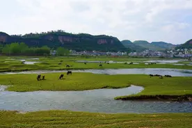Ⅱ类水质达标率八年提高31%，湖北宜昌创新流域治理“黄柏河范式”图片