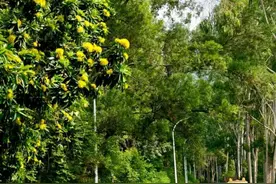 即将抵达！确认影响厦门！三天后反转……图片