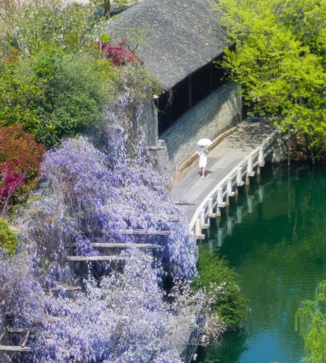 春假要来了！桐乡这些景区对中小学生免费→