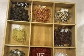 《哪吒2》中陈塘关的“救命药材”，相关古方至今还在用图片