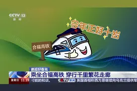 油菜花、樱花……走，坐合福高铁看千里繁花图片