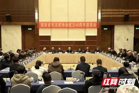 忆往昔展未来！湖南省书法家协会成立40周年座谈会召开图片