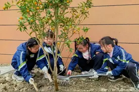 新学校9月启用，老师、学生、家长一起去种树啰！图片