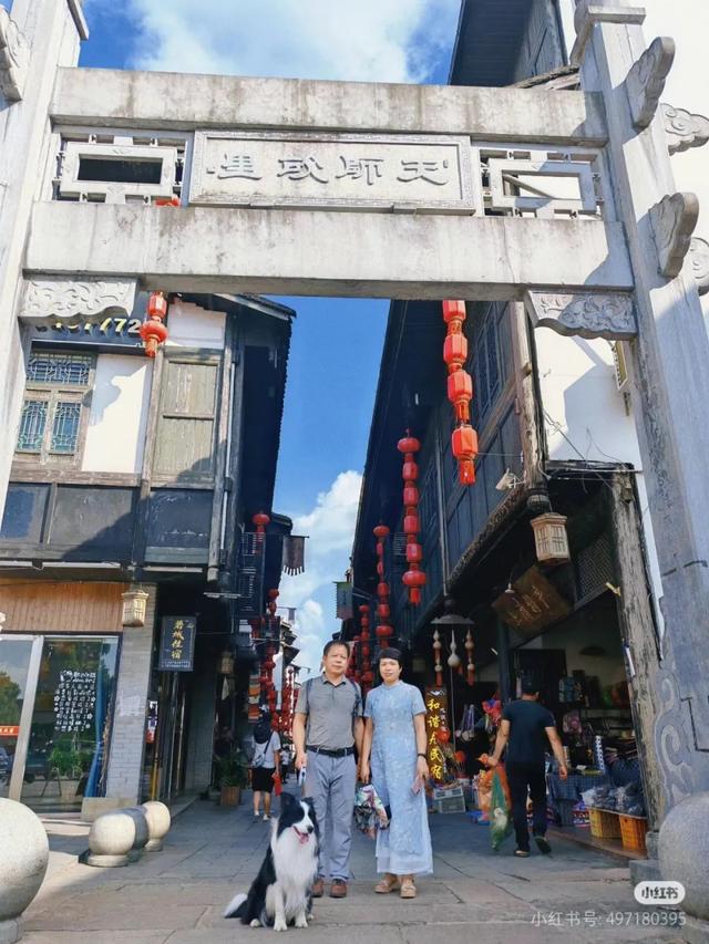 滑板耶耶帅气出街，打卡道家仙山！龙虎山宠物友好景区实锤了，快带上毛孩子来畅玩仙境福地！