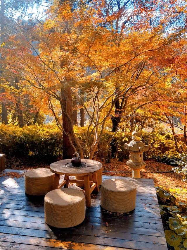 跟着赛事游昆明｜美出新高度！昆明周边绝美私汤攻略来了