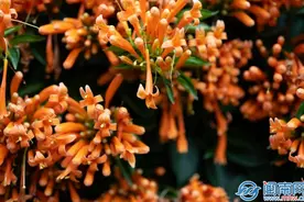 温馨的生日快乐祝福句子 祝自己家人朋友生日说说图片